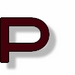 Lexikon P