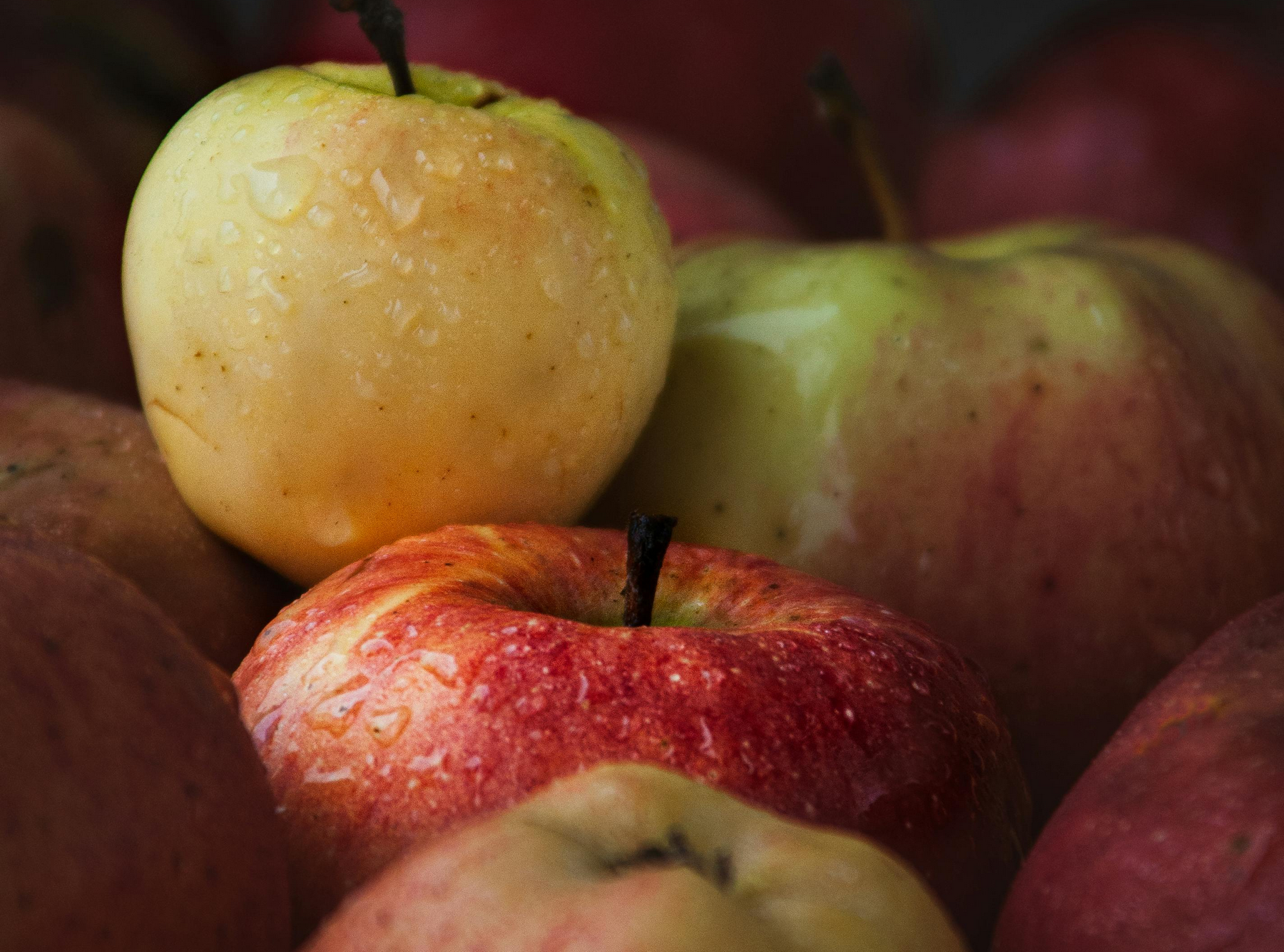 Äpfel