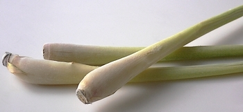 Zitronengras