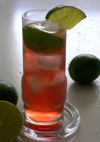 Wodka Cranberry