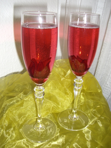 Hibiskus Sektcocktail