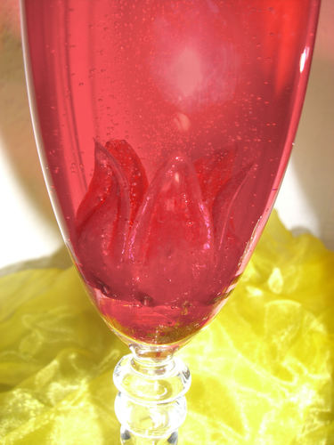 Hibiskus Sektcocktail
