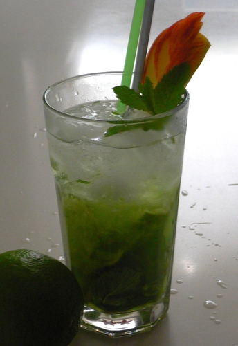 Apple Mojito