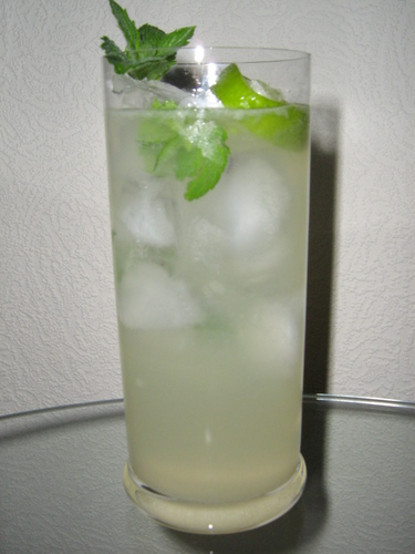 Royal Jamaican Mojito