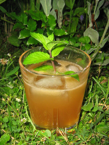 Don the Beachcombers MAI TAI