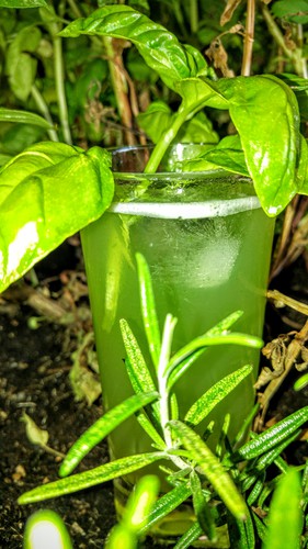 Gin Basil Smash